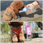 Portable Pet Water Bottle – Filtered, Leak-Proof, 250ml for Dogs & Cats